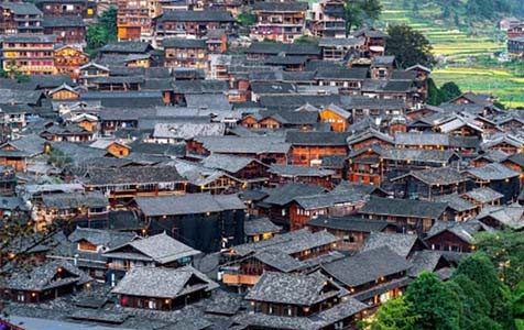 丹棱乡村别墅的靠谱依赖